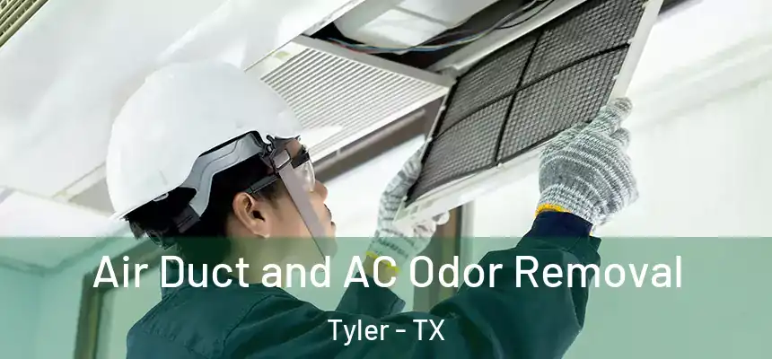 Air Duct and AC Odor Removal Tyler - TX