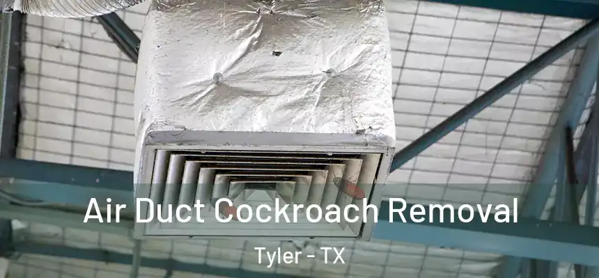 Air Duct Cockroach Removal Tyler - TX
