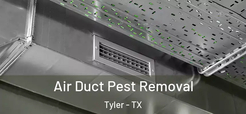 Air Duct Pest Removal Tyler - TX