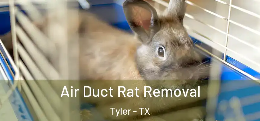 Air Duct Rat Removal Tyler - TX