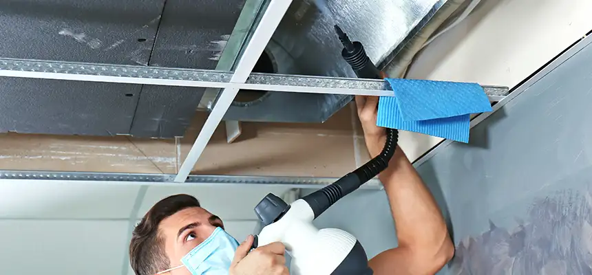Our Air Duct Rodent Removal Services in Tyler, TX