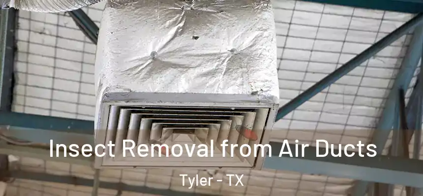  Insect Removal from Air Ducts Tyler - TX