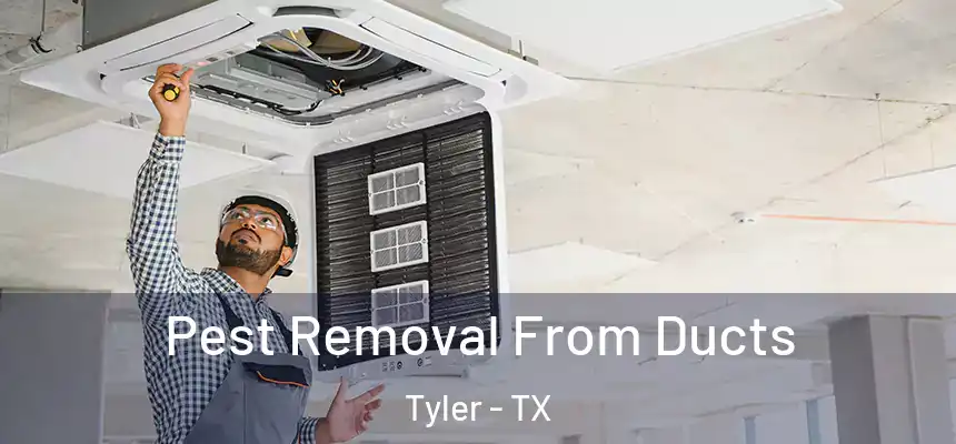 Pest Removal From Ducts Tyler - TX