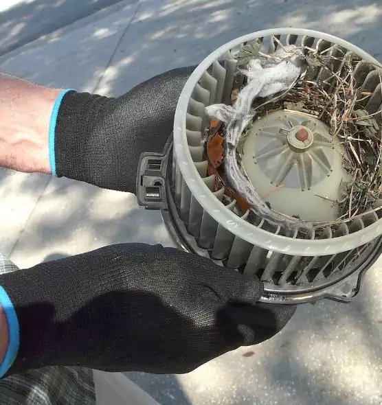 About Air Duct Rat Removal in Tyler, TX