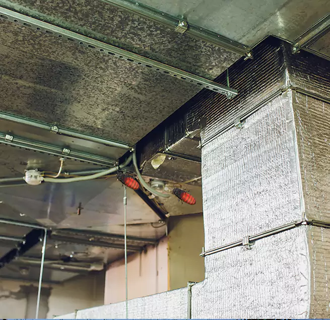 Why Homeowners & Businesses Trust Us in Tyler, TX?