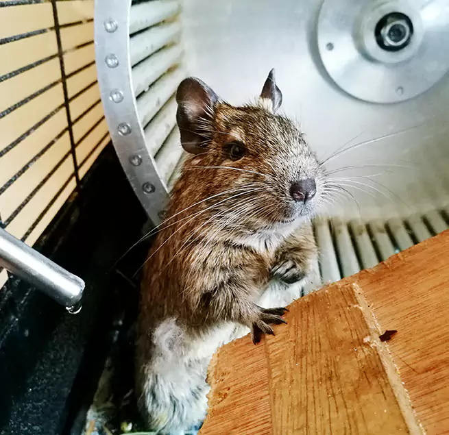 Why Homeowners & Businesses Trust Us Tyler, TX?