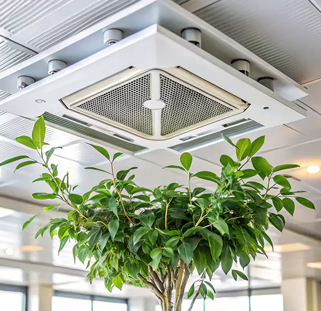 Why Homeowners & Businesses Trust Us in Tyler, TX?