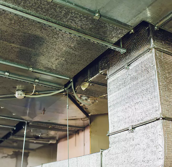 Why Homeowners & Businesses Trust Us in Tyler, TX?